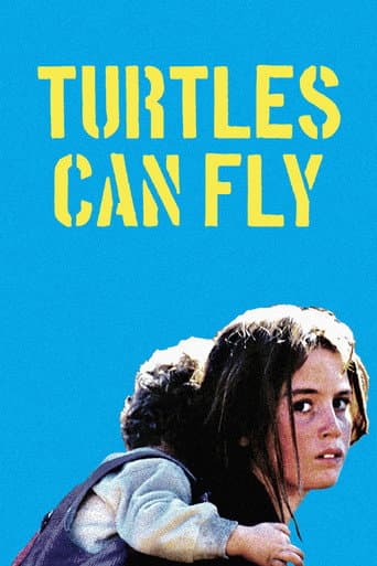 Turtles Can Fly poster