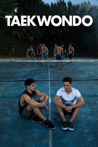 Taekwondo Taekwondo poster