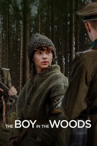 The Boy in the Woods The Boy in the Woods poster