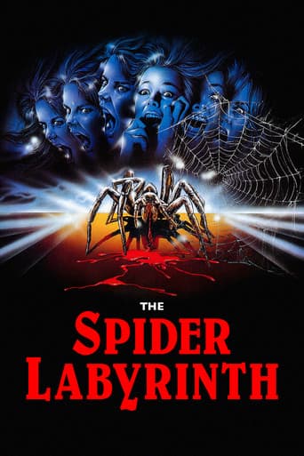 The Spider Labyrinth The Spider Labyrinth poster