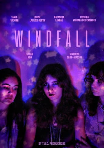 WINDFALL poster