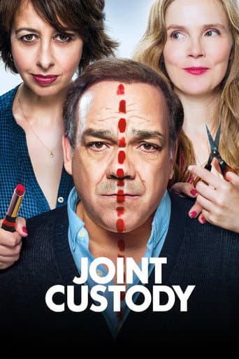 Joint Custody poster