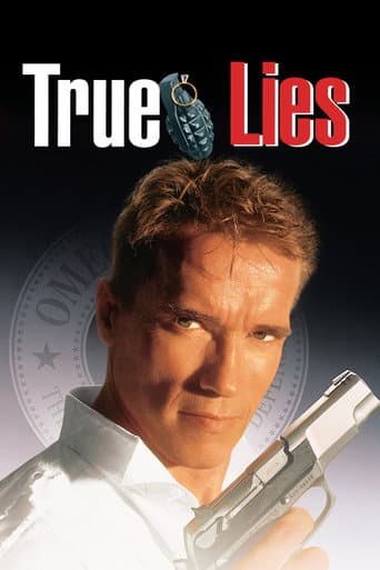 True Lies True Lies poster
