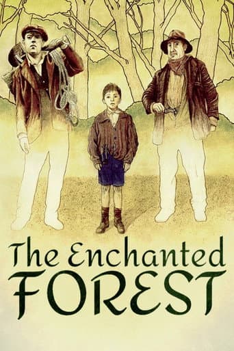 The Enchanted Forest The Enchanted Forest poster