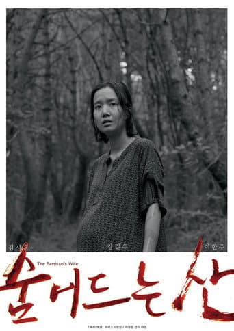 Partisan's Wife poster