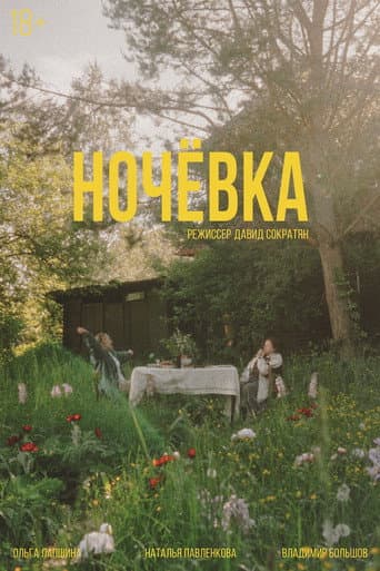 Ночёвка poster