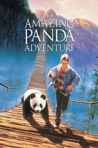 The Amazing Panda Adventure The Amazing Panda Adventure poster