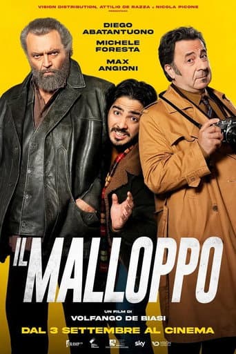 Il malloppo poster