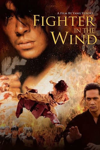 Fighter in the Wind Fighter in the Wind poster