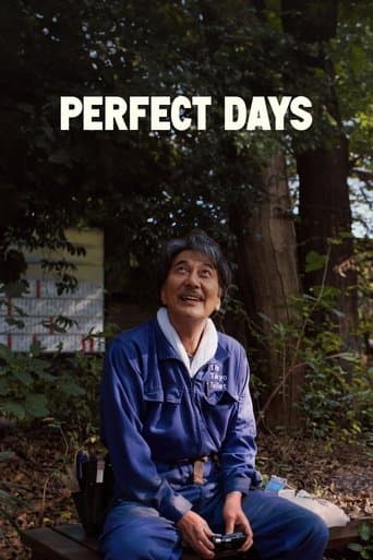 Perfect Days Perfect Days poster