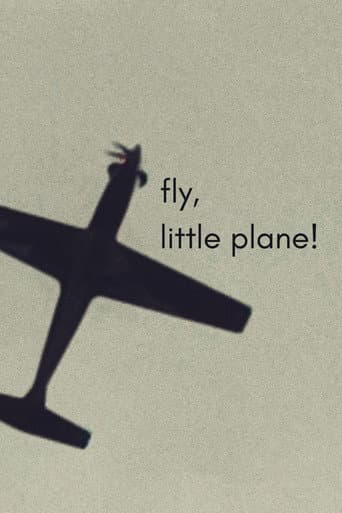 fly, little plane! poster