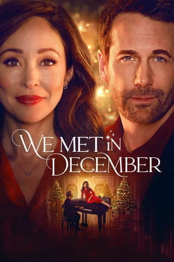 We Met in December poster