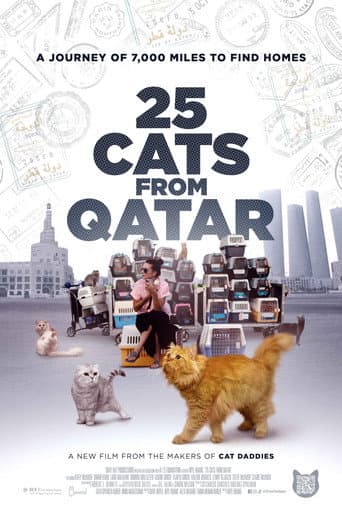 25 Cats from Qatar 25 Cats from Qatar poster