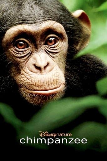 Chimpanzee Chimpanzee poster