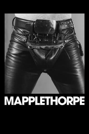 Mapplethorpe Mapplethorpe poster
