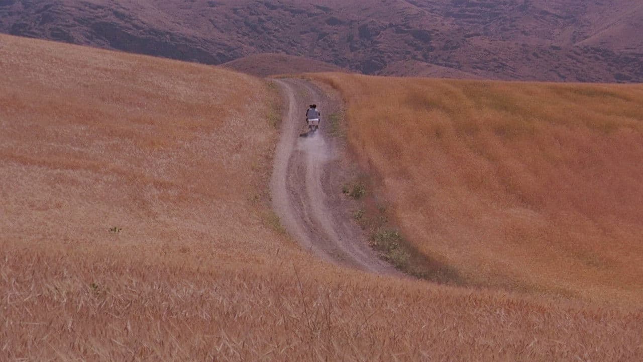 Backdrop Image
