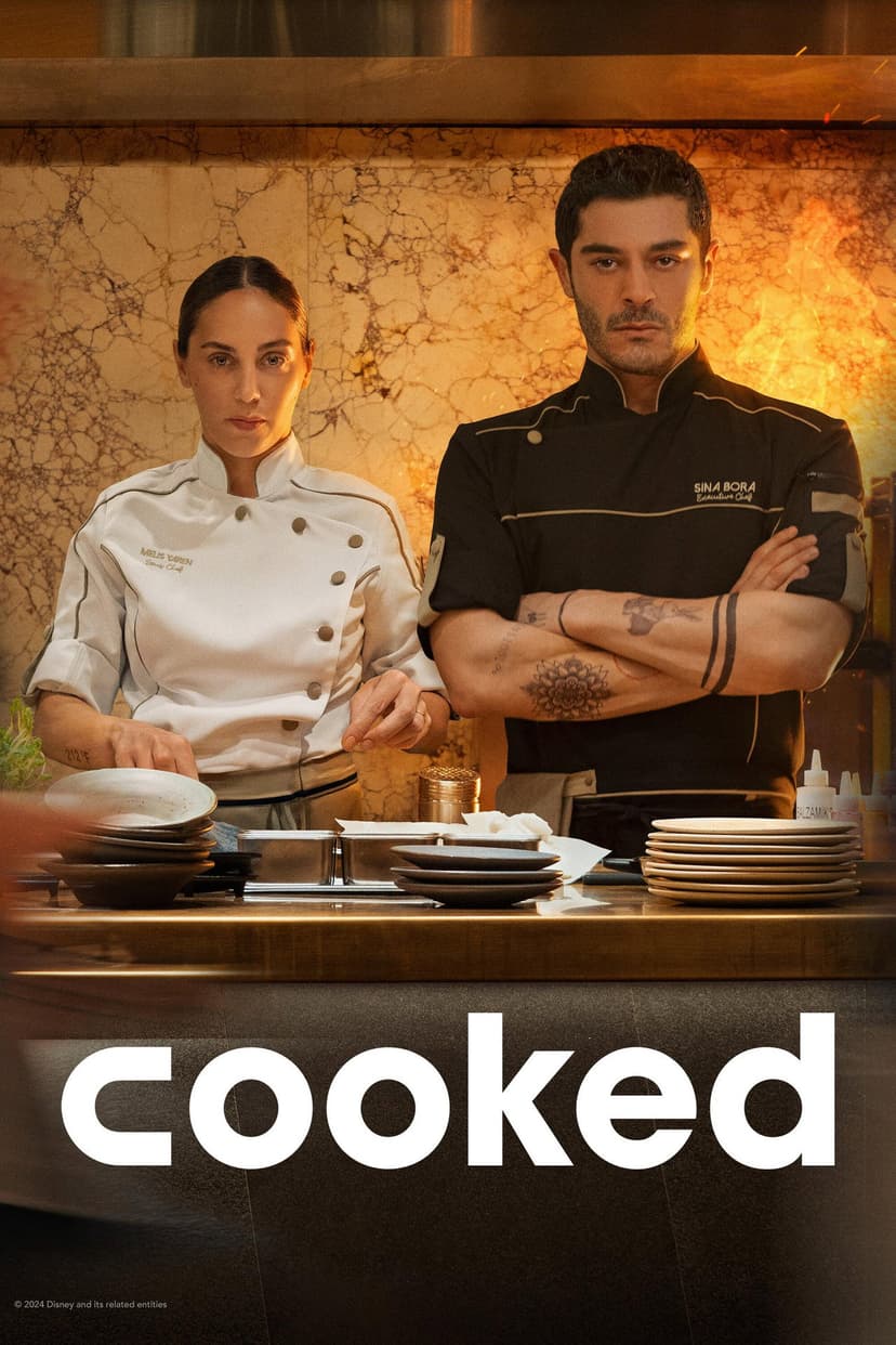 Poster Image