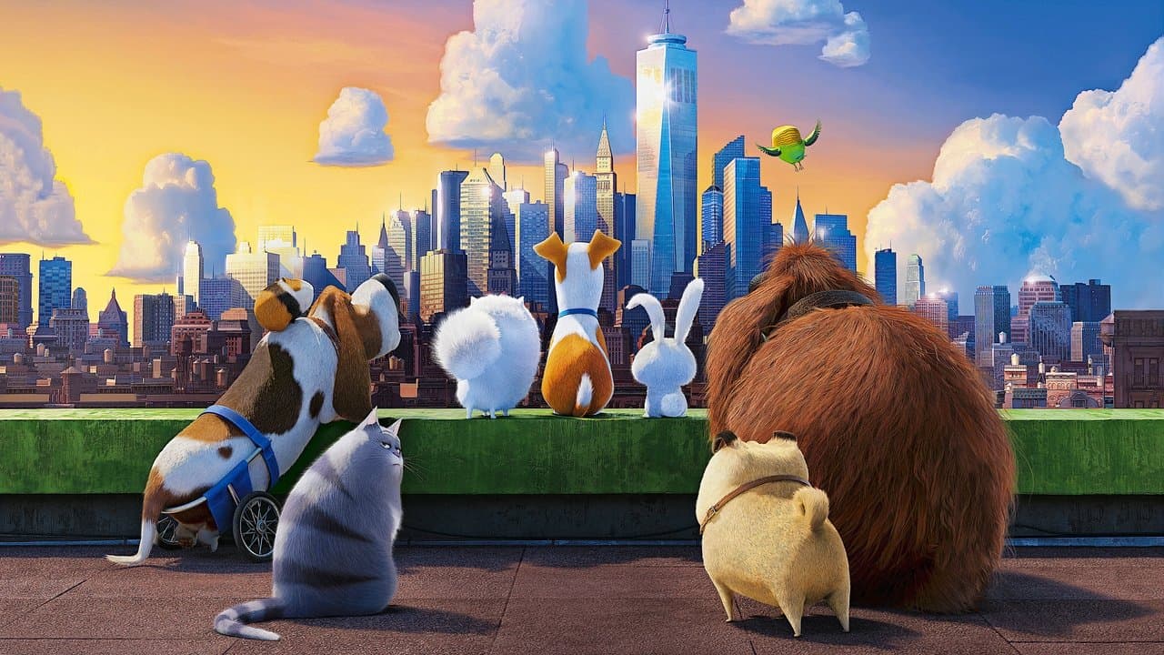 Backdrop Image