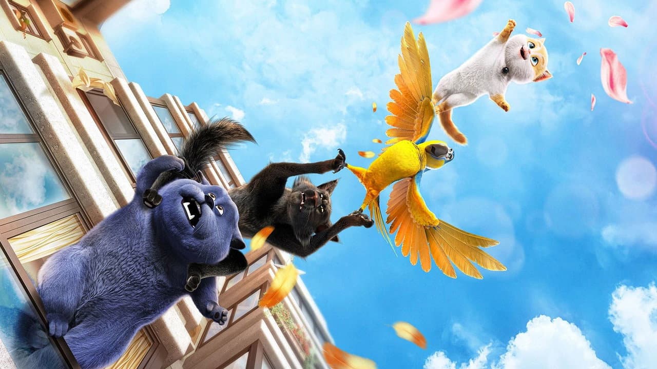 Backdrop Image