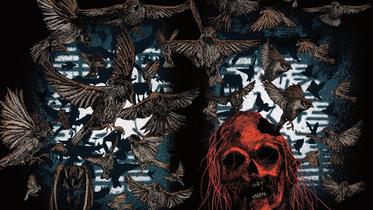 Backdrop Image