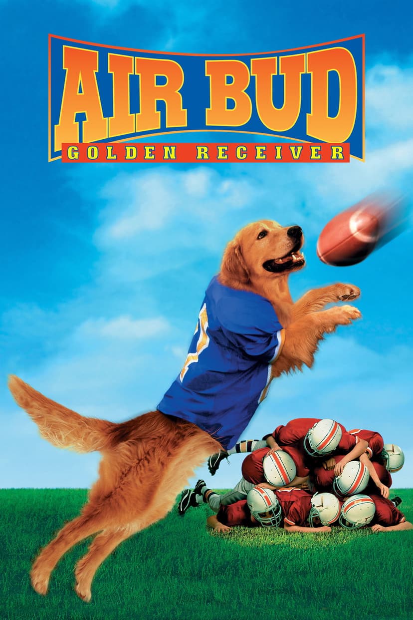 Poster Image