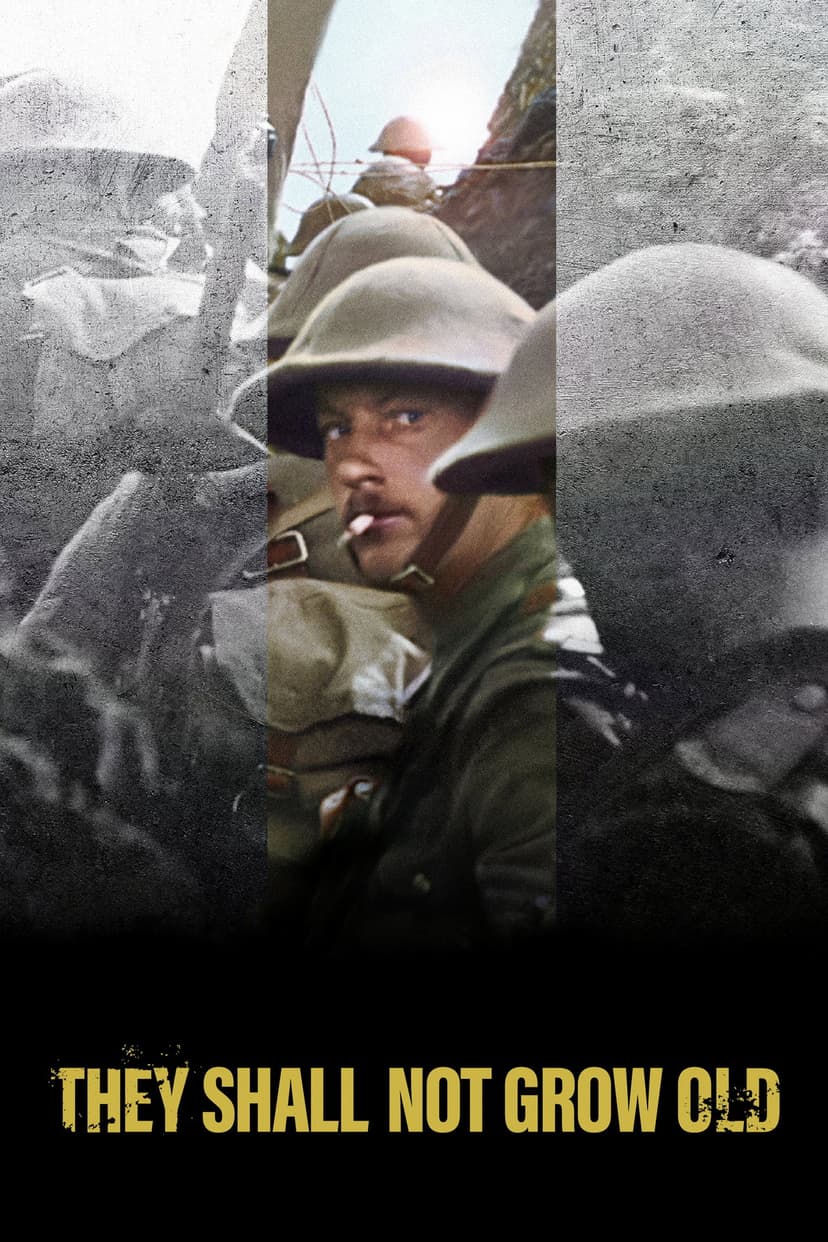 Poster Image