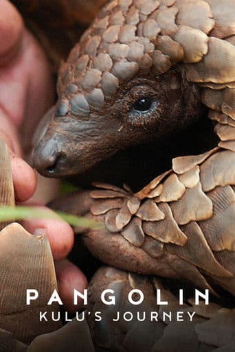 Pangolin: Kulu's Journey Pangolin: Kulu's Journey poster