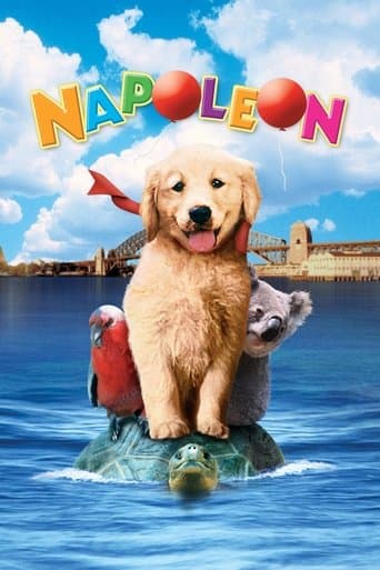 Napoleon Napoleon poster