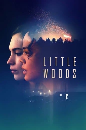 Little Woods Little Woods poster