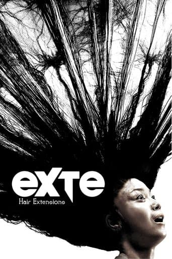 Exte: Hair Extensions Exte: Hair Extensions poster