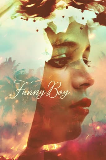 Funny Boy Funny Boy poster