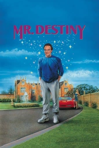Mr. Destiny Mr. Destiny poster
